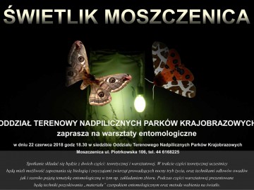 Warsztaty entomologiczne 2018 Moszczenica, 